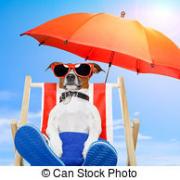 Vacances ete chien vacances banque de photographie csp12289405